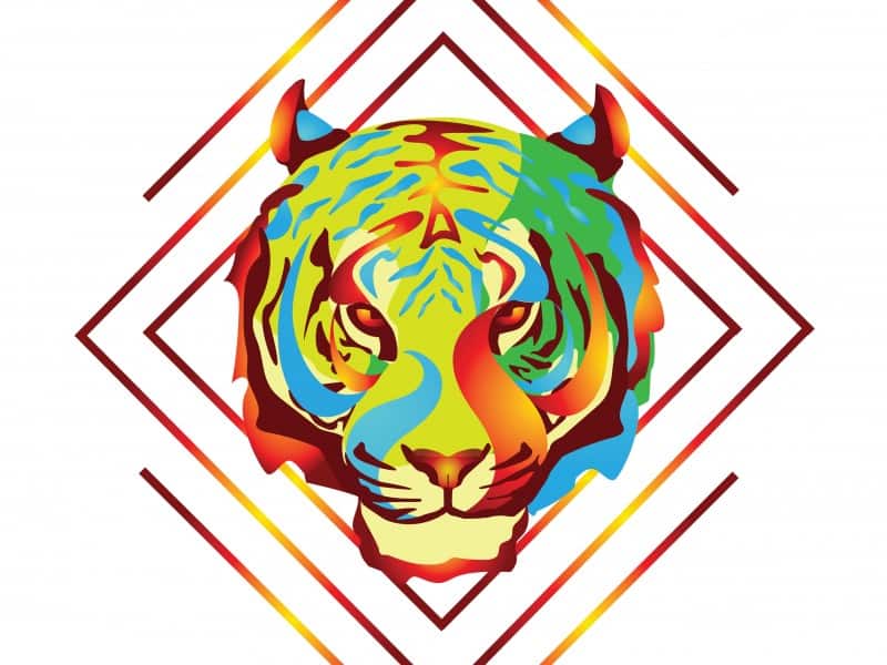 Fire Tiger Design