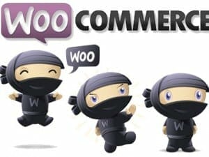 Overview of WooCommerce – eCommerce Software