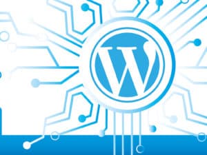 Why Use WordPress? – Is it really that much better than the alternatives?